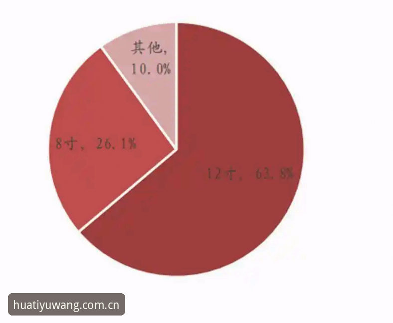 深度揭秘:华体育网分析对比背后,老用户才知道的真相
